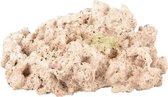 Flamingo Aquarium Decoratie Rocco Koraal Beige 24X20X11Cm