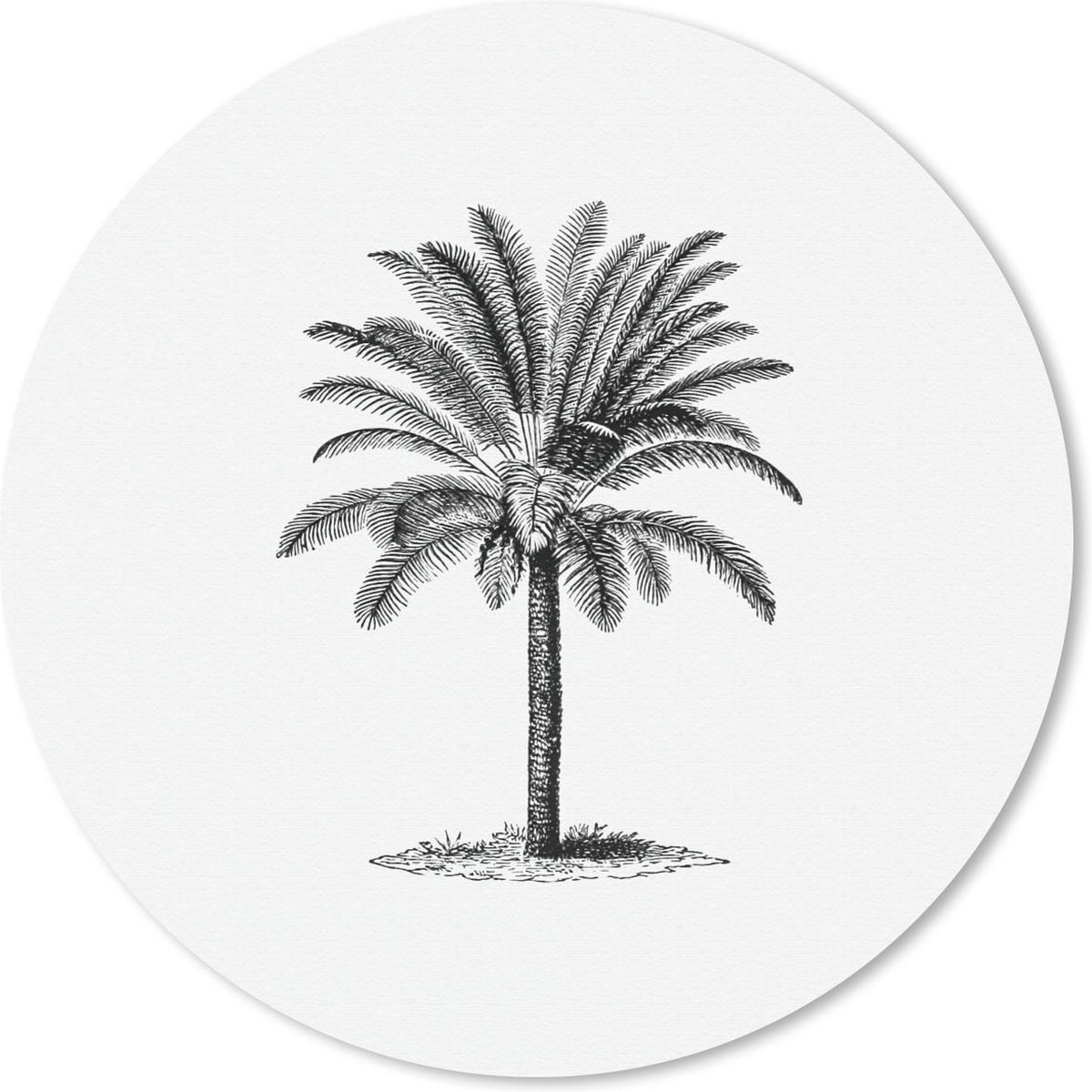 Muismat rond 30x30 cm - Mousepad Retro - Palmboom - Bomen - Ronde muismatten