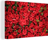 Champ avec des roses rouges sur toile 2cm 120x80 cm - Tirage photo sur toile (Décoration murale salon / chambre) / Peintures Fleurs sur toile