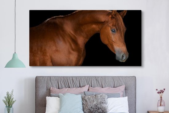 Tableau Toile Cheval - Oeil - Marron - 160x80 cm - Décoration murale