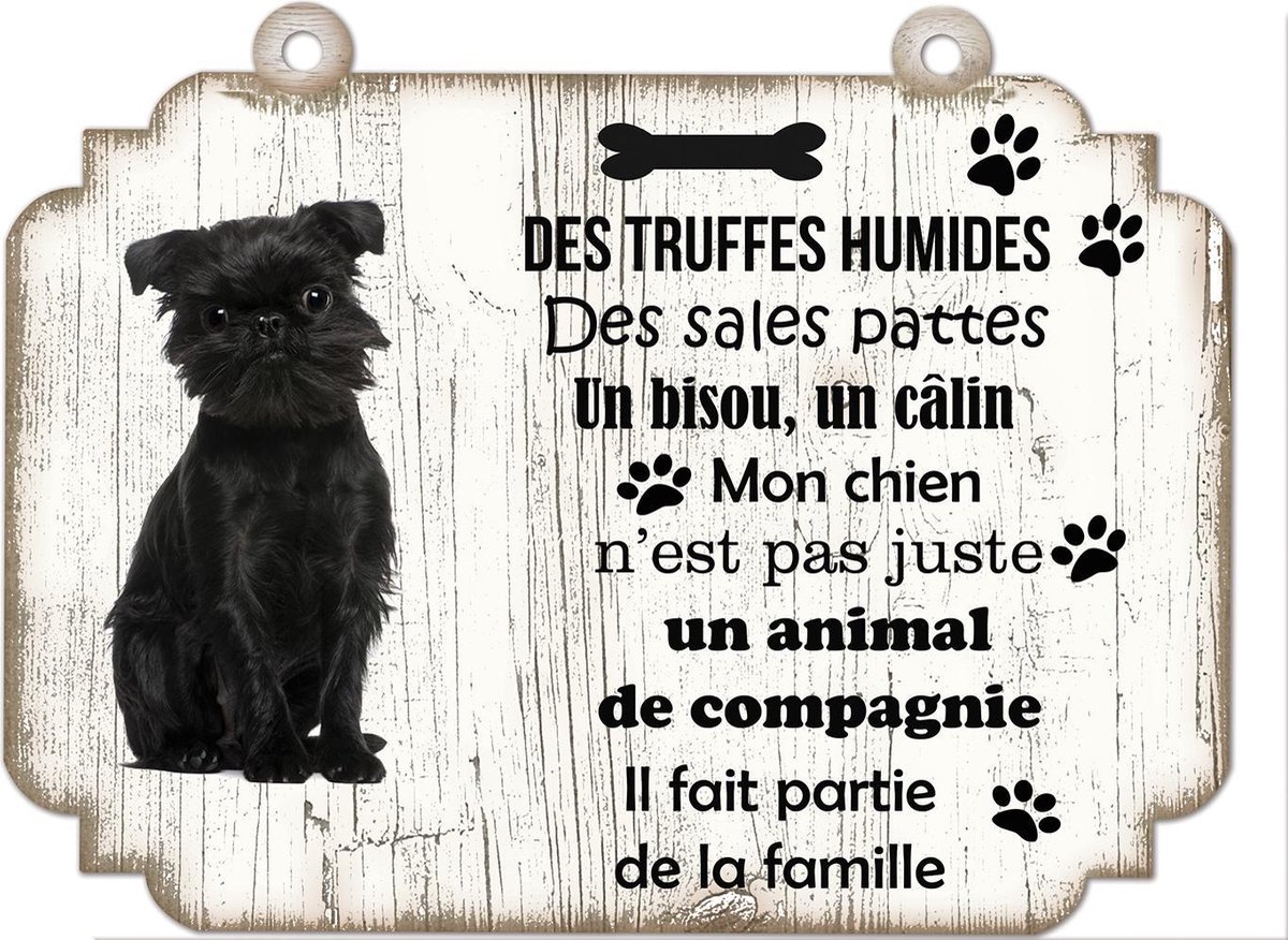 Tableau Déco - Griffon