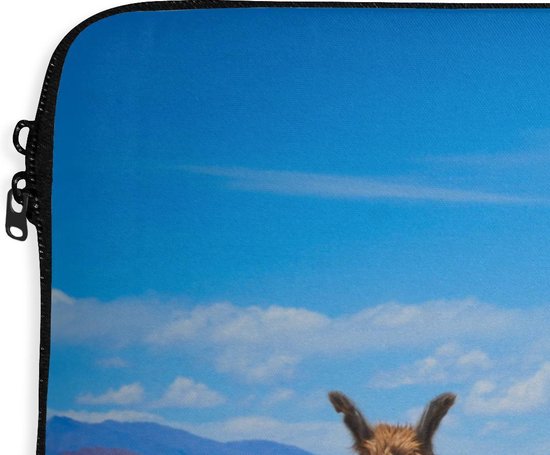 Housse ordinateur 13 pouces 34x24 cm - Lamas & Alpagas - Housse Macbook & Laptop Lamas au repos sur une plaine sablonneuse - Housse ordinateur portable avec photo