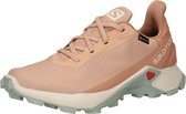 Salomon lage schoen alphacross 3 Wit-8,5 (42,5)