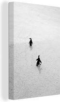 Canvas Schilderij Twee pinguïns lopen over het zand in Zuid-Afrika - zwart wit - 80x120 cm - Wanddecoratie
