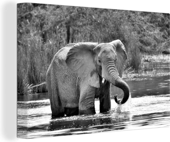 Canvas Schilderij Badderende olifant - zwart wit - 60x40 cm - Wanddecoratie