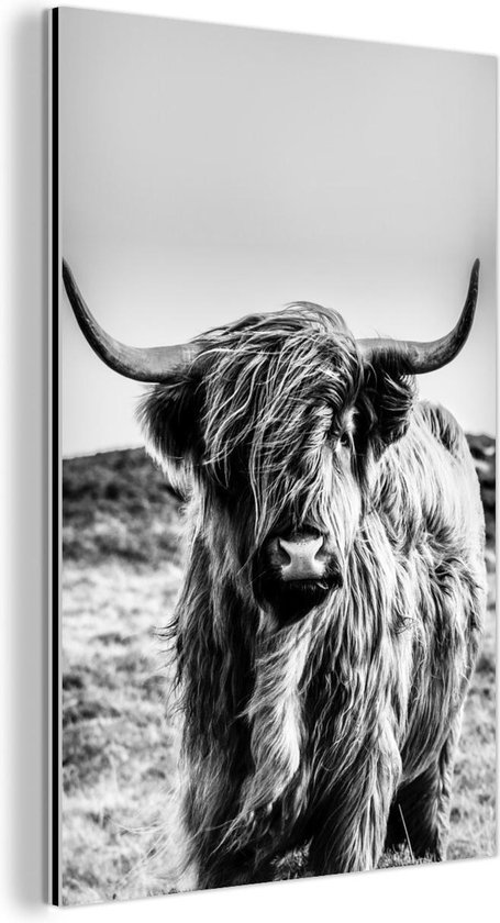 Plaque En Fer Vintage Avec Armoiries Royales Du Royaume D