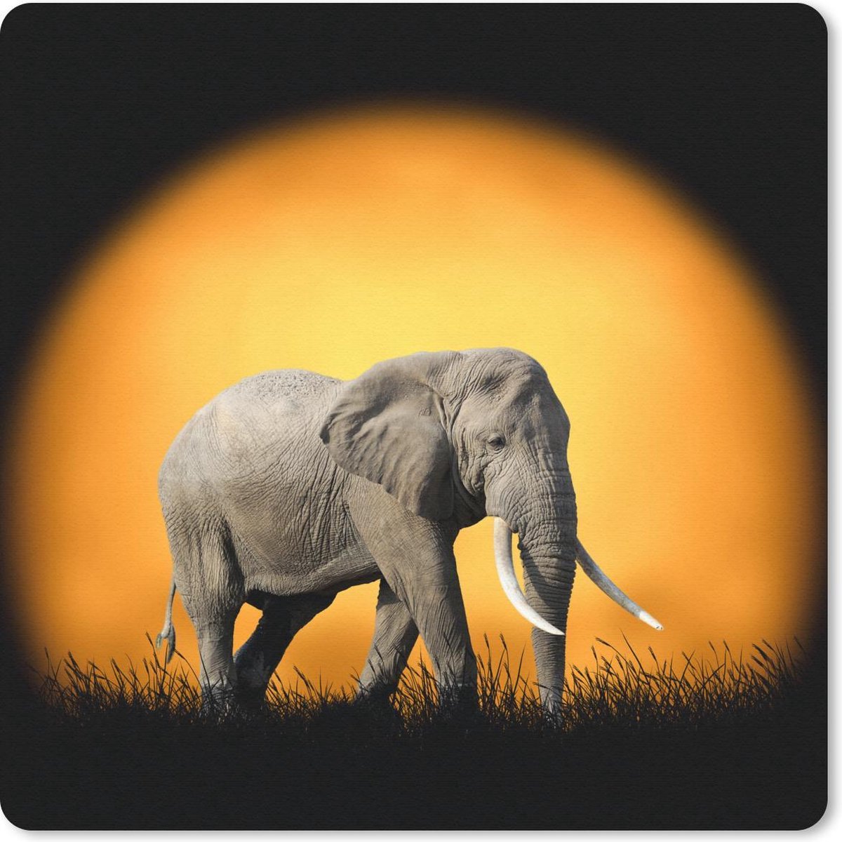 Muismat 20x20 cm - Mousepad Olifant - Zon - Tanden - Muismatten