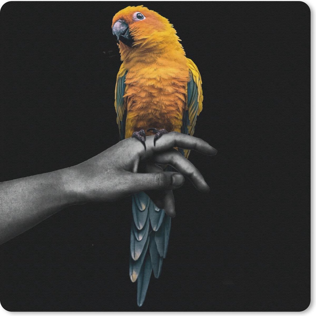 Muismat 20x20 cm - Mousepad Vogel - Papegaai - Hand - Geel - Muismatten