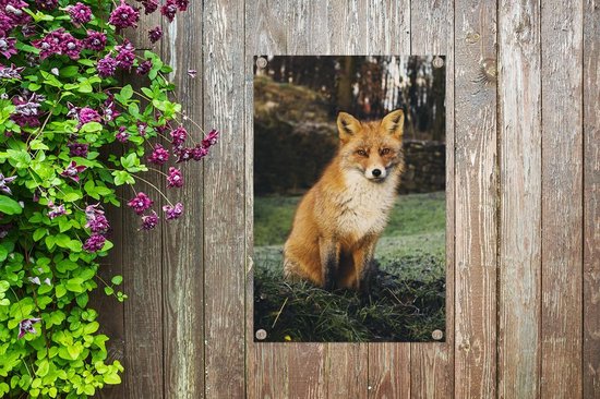 Posters de jardin extérieur Renard - Forêt - Automne - 60x90 cm - Toile jardin - Affiche extérieure