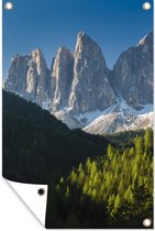 Tuinposter - Tuindoek - Tuinposters buiten - Italië - Dolomieten - Bos - 80x120 cm - Tuin