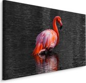 Schilderij - Flamingo in het water, 4 maten, roze/grijs, Premium print