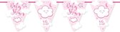 vlaggenlijn babyshower meisjes 6 meter karton roze