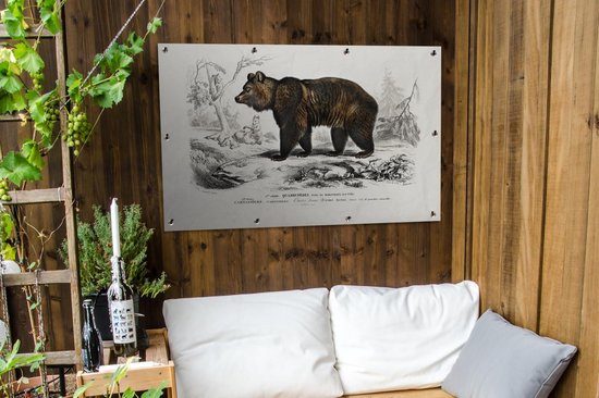 Affiche jardin - Toile jardin - Posters de jardin extérieur - Ours - Vintage - Animal - 120x80 cm - Jardin