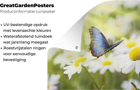 Poster de jardin Fleurs - Papillons - Été - 120x80 cm - Jardin
