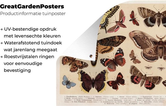 Tableau de jardin Papillon - Vintage - Crayon - Animaux - 80x60 cm - Affiche de jardin