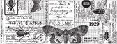 Idea-Ology Collage Paper - Entomologie
