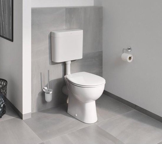 Toiletborstel naast een witte toiletpot en spoelbak.