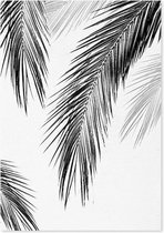 Schilderij Palm bladeren, 4 maten, zwart-wit