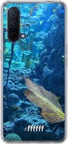 6F hoesje - geschikt voor OnePlus Nord CE 5G -  Transparant TPU Case - Coral Reef #ffffff