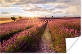 Poster De zon schijnt op een lavendelveld in Zuid-Frankrijk - 180x120 cm XXL