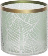 Windlicht - Tafellamp - Kaarsenhouder - Lantaarn - Leaf Groen - 8,8x8,8x10cm - Rond glas