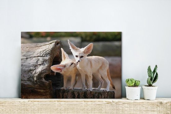 Deux adorables renards Fennec sur un tronc d'arbre Toile 30x20 cm - petit - Tirage photo sur Toile peinture (Décoration murale salon / chambre) / Animaux sauvages Peintures sur toile