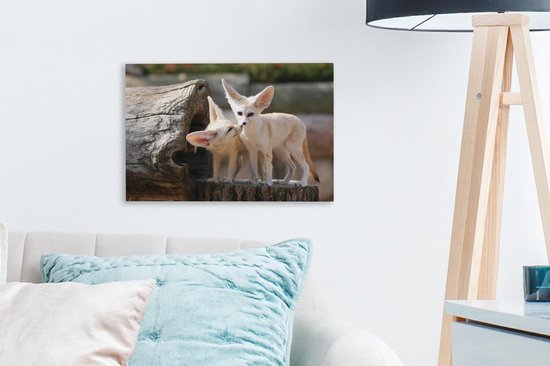 Deux adorables renards Fennec sur un tronc d'arbre Toile 30x20 cm - petit - Tirage photo sur Toile peinture (Décoration murale salon / chambre) / Animaux sauvages Peintures sur toile