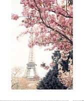 Poster - Caroline Paris In Bloom - 40 X 30 Cm - Multicolor