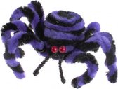 hypno spiraal spin 6 x 4 cm zwart/paars