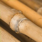 Relaxdays Bamboestokken - 150 cm - bamboe - tonkinstokken - tuin - plantensteun - Naturel