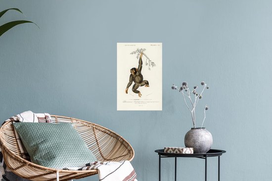 Stickers muraux - Singe - Vintage - Branche - 20x30 cm - Feuille adhésive