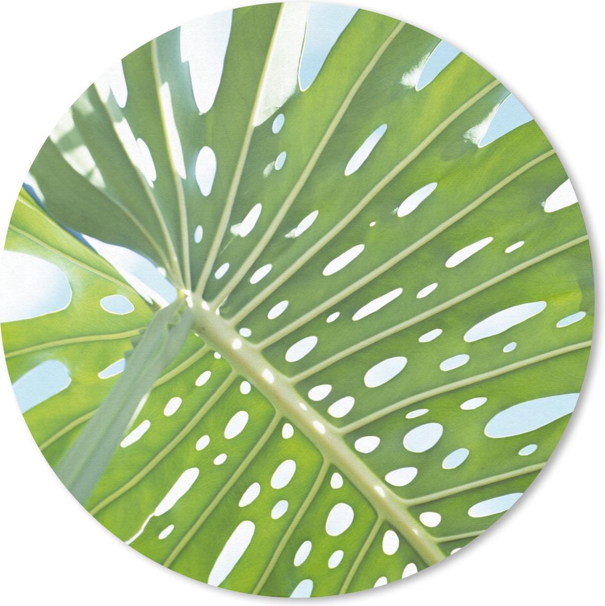 Muismat rond 40x40 cm - Mousepad Een groen botanisch blad in de zon - Ronde muismatten