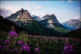 Walljar - Flower Field - Muurdecoratie - Poster met lijst