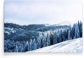 Walljar - Winter Trees - Muurdecoratie - Poster