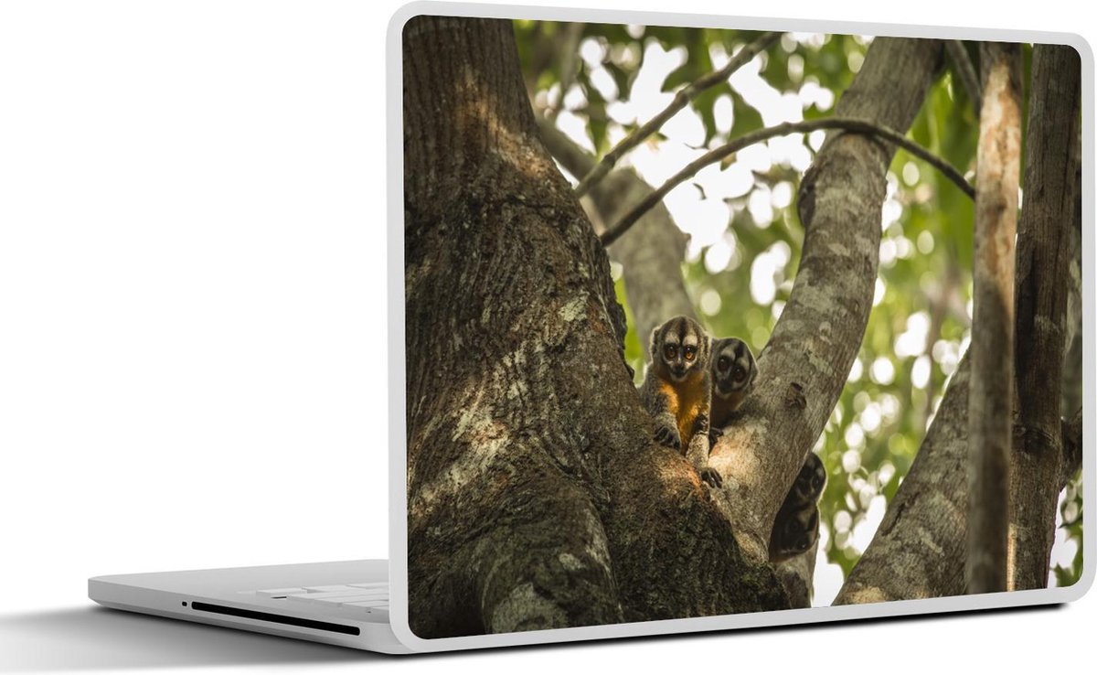 Afbeelding van product SleevesAndCases  Laptop sticker - 14 inch - dieren in een boom