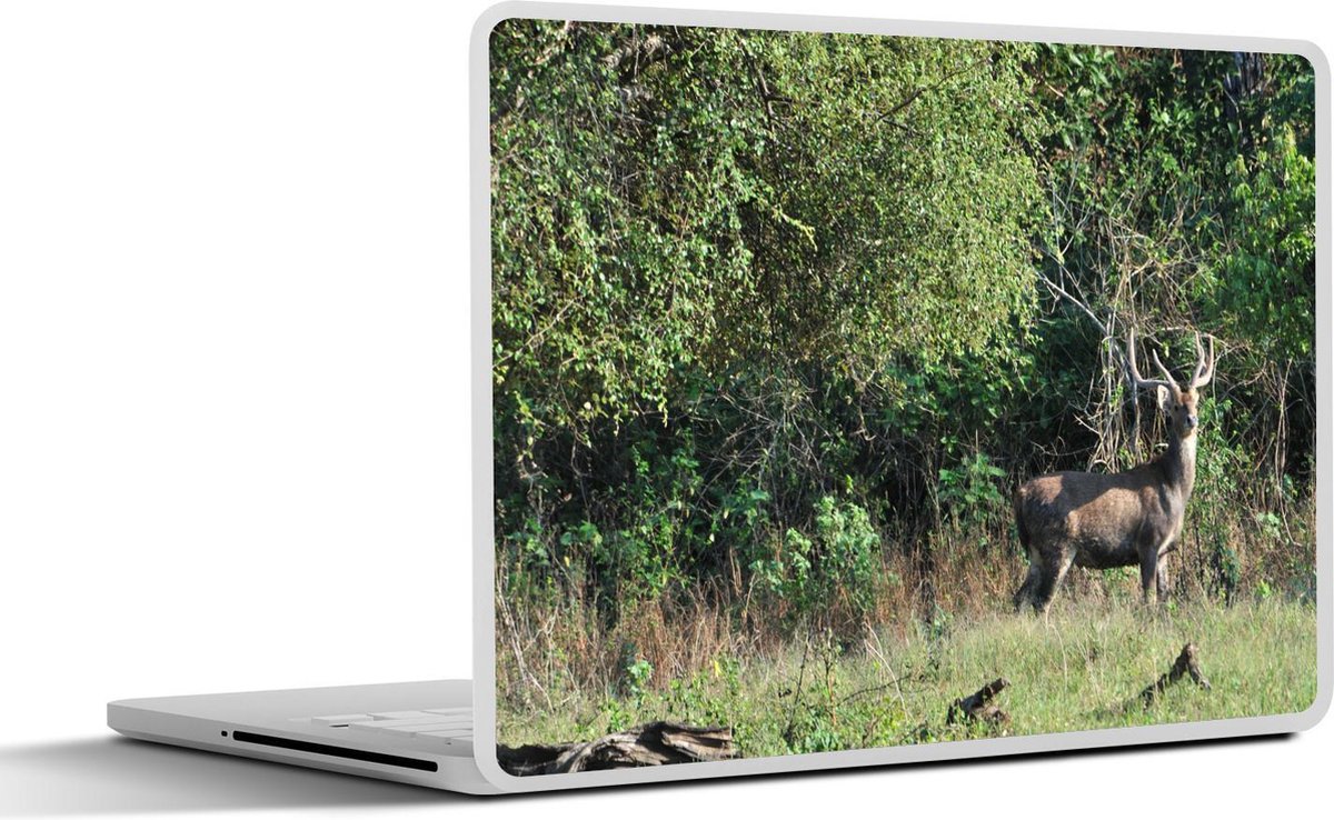 Afbeelding van product SleevesAndCases  Laptop sticker - 12.3 inch - Wilde herten bevinden zich in het landschap van het Nationaal Park Baluran