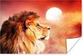 Affiche Lions - Soleil - Rouge - 120x80 cm