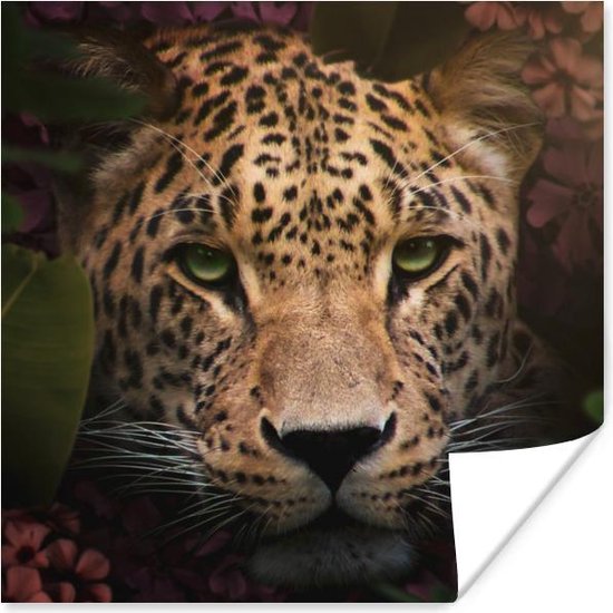 Poster Animaux - Panthère - Jungle - 100x100 cm XXL