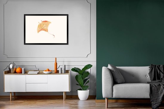 Cadre photo avec affiche - Raie - Poisson - Aquarelle - 120x80 cm - Cadre pour affiche