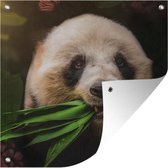 Tuindoek Dieren - Panda - Jungle - 100x100 cm