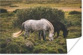 Poster Paarden - Gras - Struik - 120x80 cm