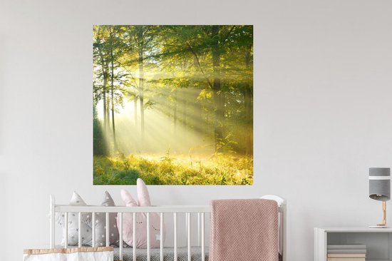 Stickers muraux - Forêt - Lumière - Printemps - 100x100 cm - Film Adhésif XXL