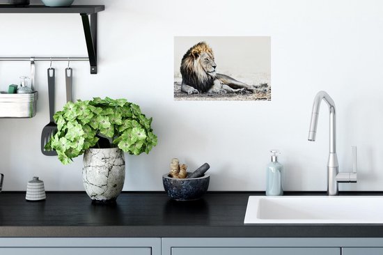 Stickers muraux - Illustration - Lions - Couleur - 30x20 cm - Feuille adhésive