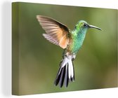 Toile Peinture Colibri - Vogels - Ressorts - 140x90 cm - Décoration murale