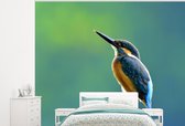 Behang - Fotobehang IJsvogel - Takken - Blauw - Breedte 275 cm x hoogte 220 cm