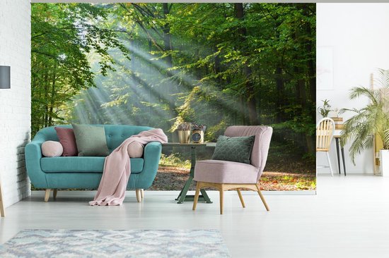 Papier peint - Papier peint photo Printemps - Forêt - Arbre - Largeur 600 cm x hauteur 400 cm