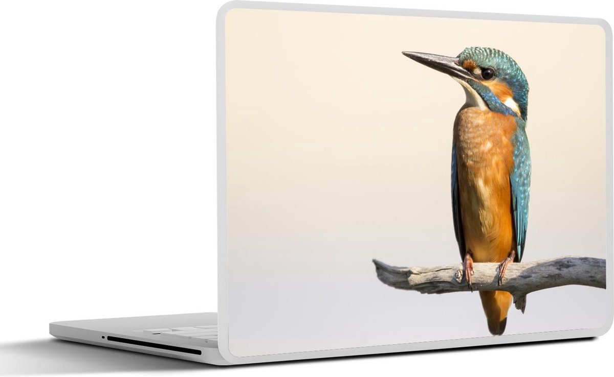 Afbeelding van product SleevesAndCases  Laptop sticker - 11.6 inch - IJsvogel - Takken - Dieren