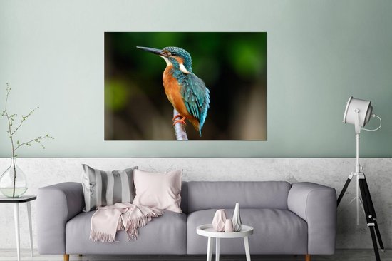 Décoration murale Métal - Peinture Aluminium - Branches - Martin-pêcheur - Parc - 120x80 cm