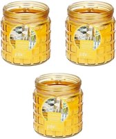3x stuks citronella kaarsen tegen insecten in glazen pot 12 cm geel- Anti-muggen/insecten