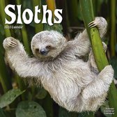 Sloths - Faultiere 2022 - 18-Monatskalender